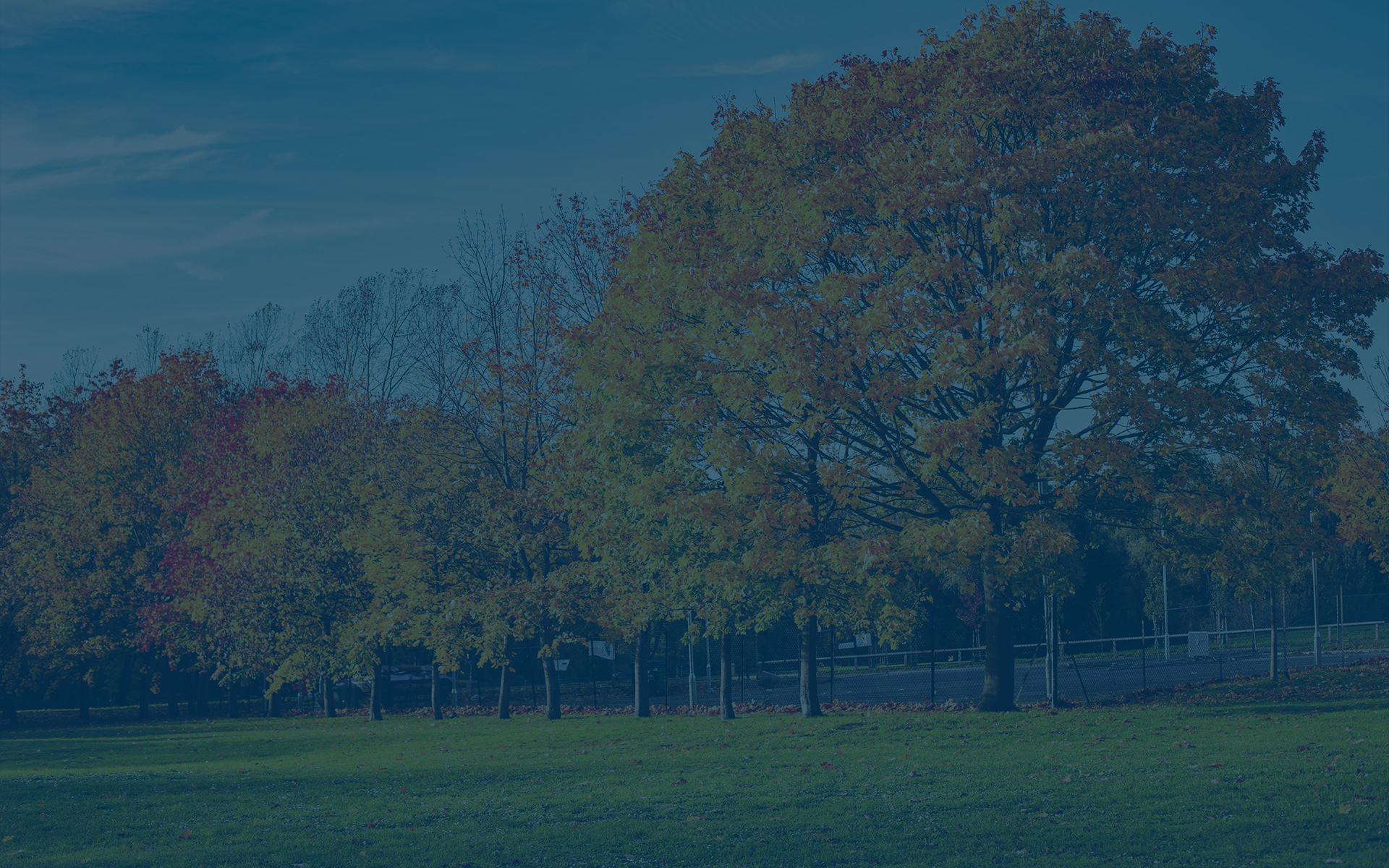 Managed IT Support in Hillingdon